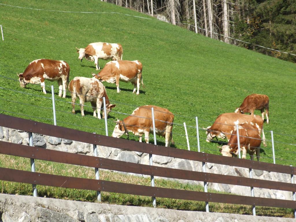 Ferienwohnung Lehenhof Ried im Zillertal Ruang foto